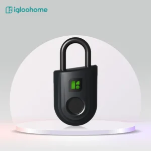 Igloohome Padlock Lite
