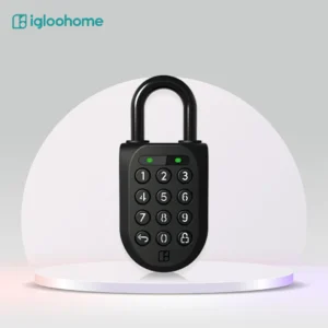 Igloohome Padlock 2
