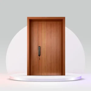 Condo and Landed main door